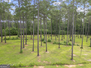138 Posey Drive Property Photo 77
