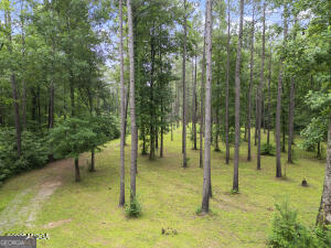 138 Posey Drive Property Photo 78