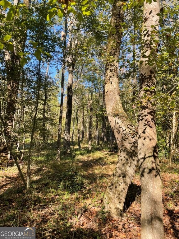 0 Highway 36 E Property Photo 3