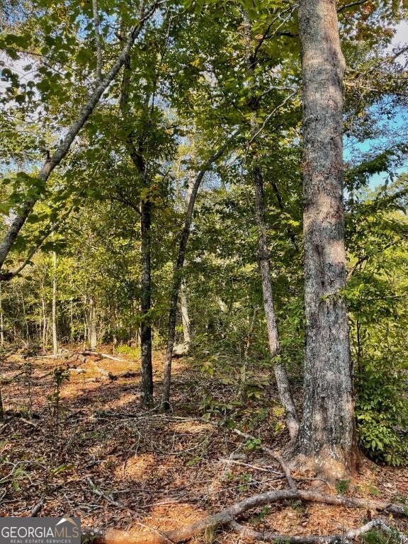 0 Highway 36 E Property Photo 6