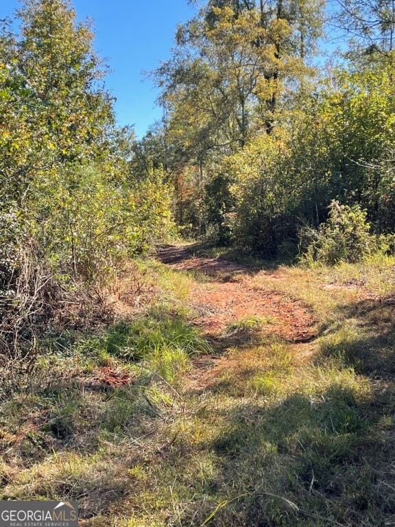 0 Highway 36 E Property Photo 7