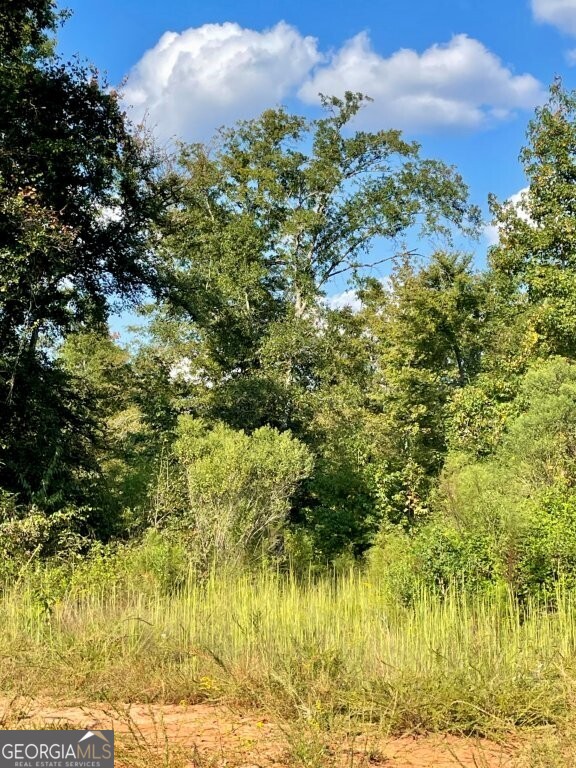 0 Highway 36 E Property Photo 8