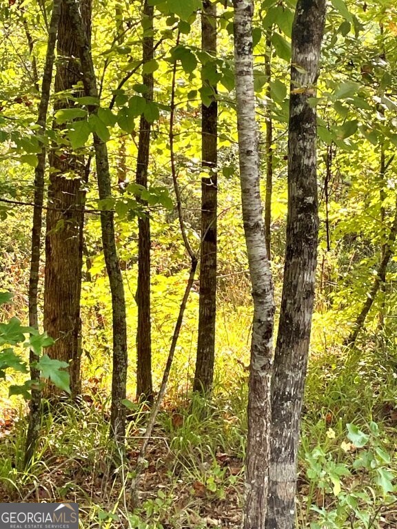 0 Highway 36 E Property Photo 10