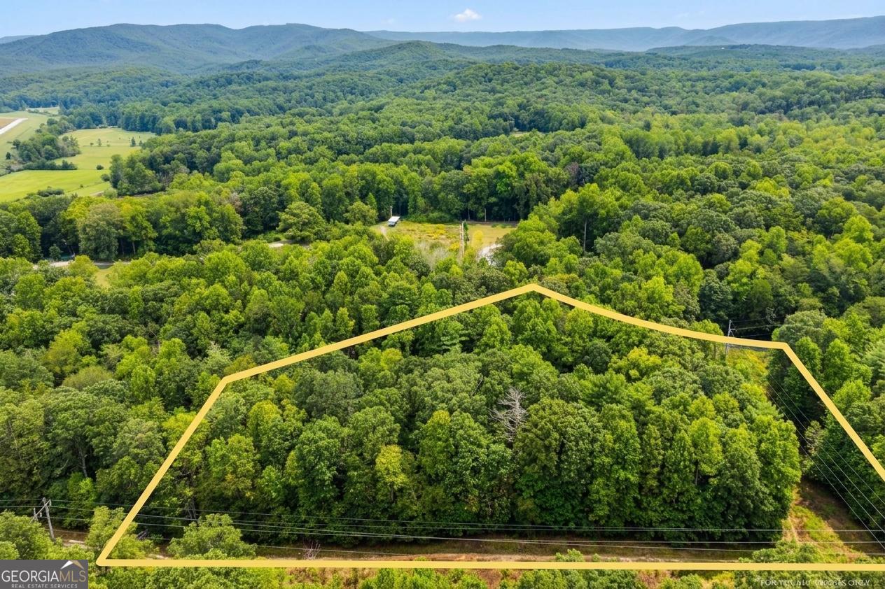 380 Guy Wimpy Road Lot 2 Property Photo 6