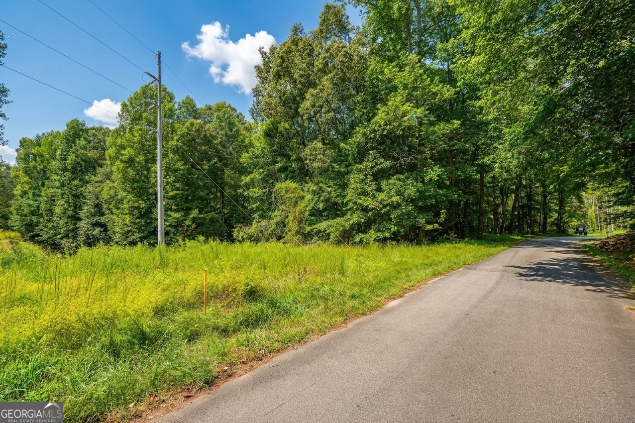 380 Guy Wimpy Road Lot 2 Property Photo 11