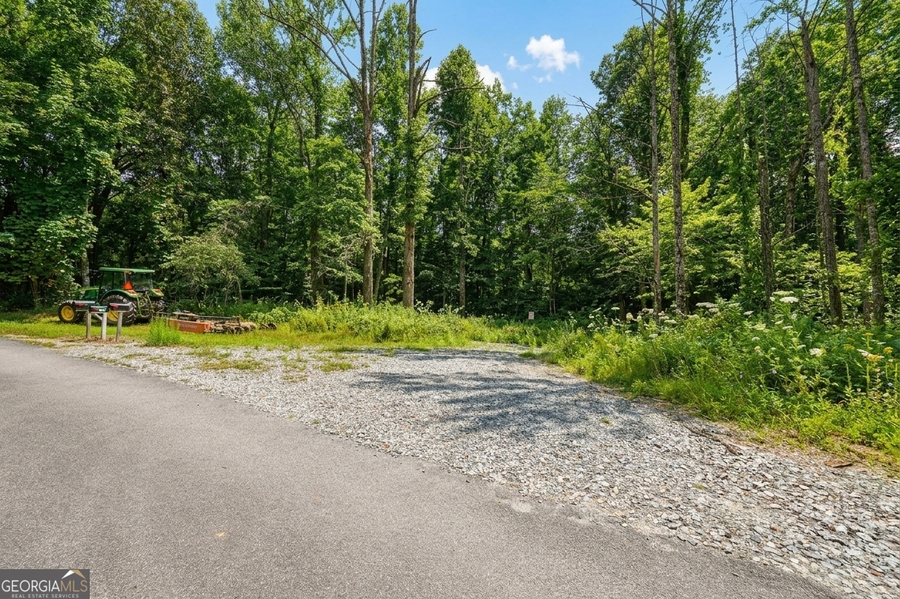 380 Guy Wimpy Road Lot 2 Property Photo 12