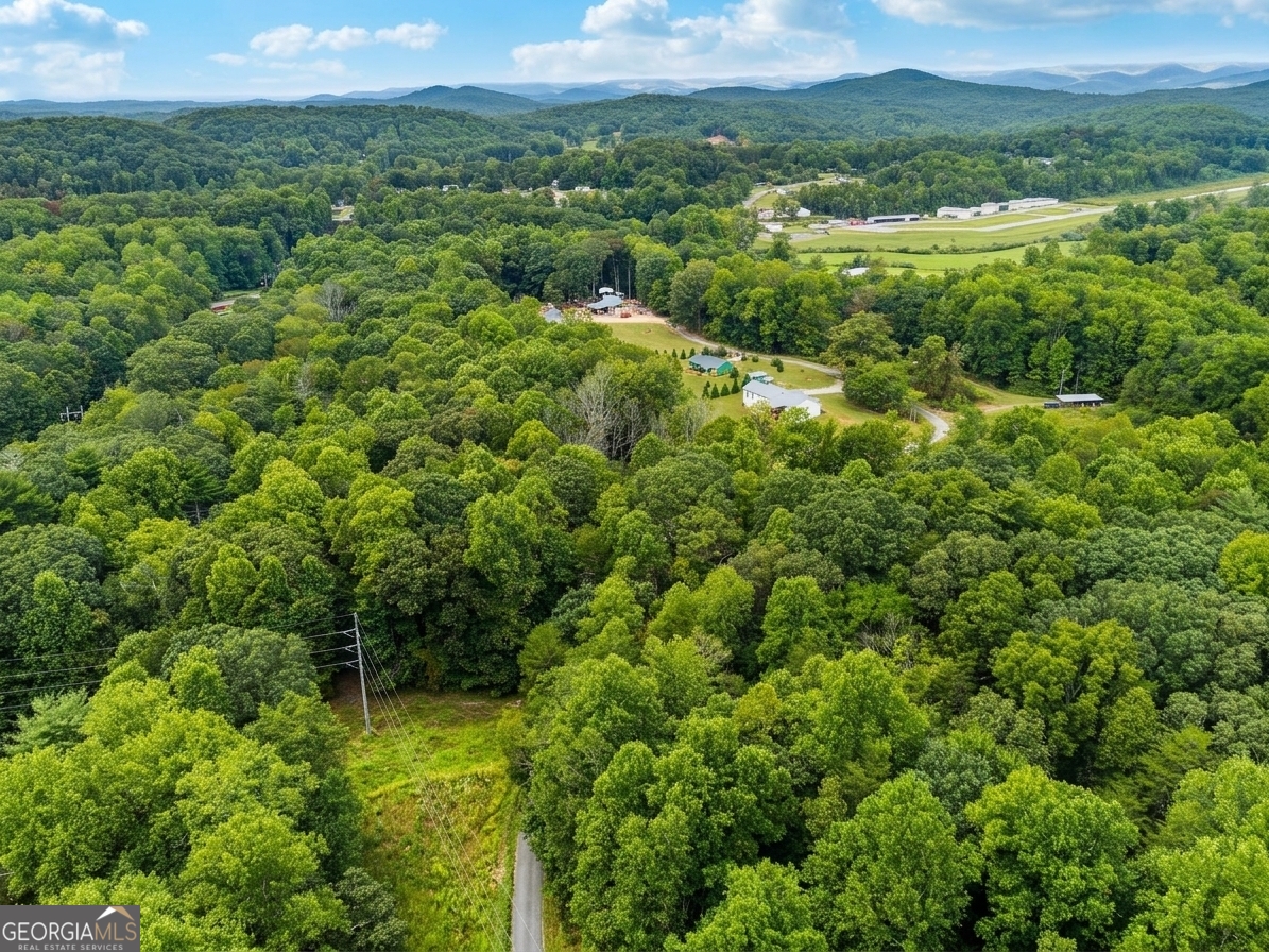 380 Guy Wimpy Road Lot 2 Property Photo 13