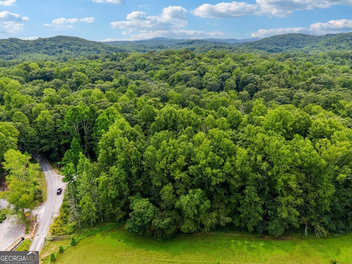 380 Guy Wimpy Road Lot 2 Property Photo 15