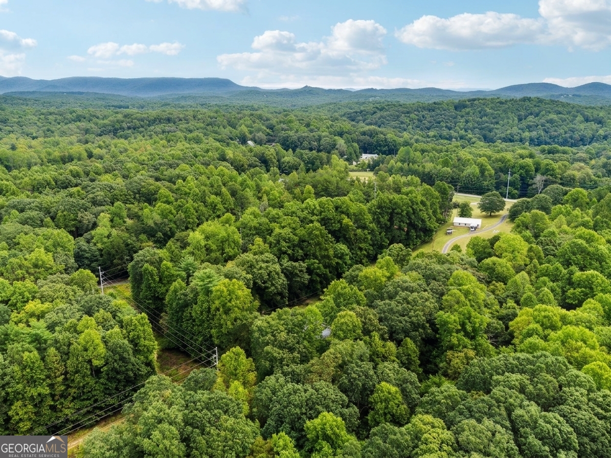 380 Guy Wimpy Road Lot 2 Property Photo 16