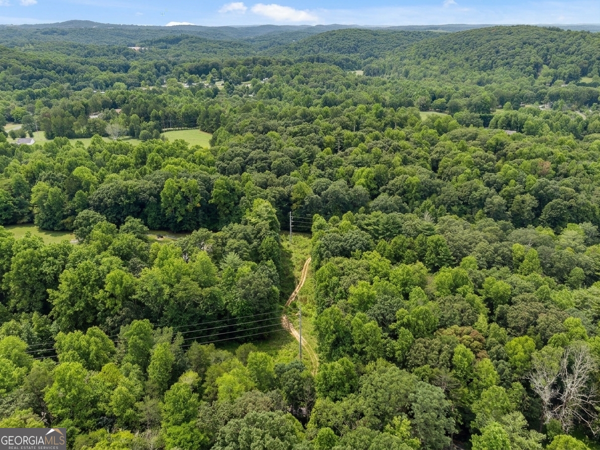 380 Guy Wimpy Road Lot 2 Property Photo 19