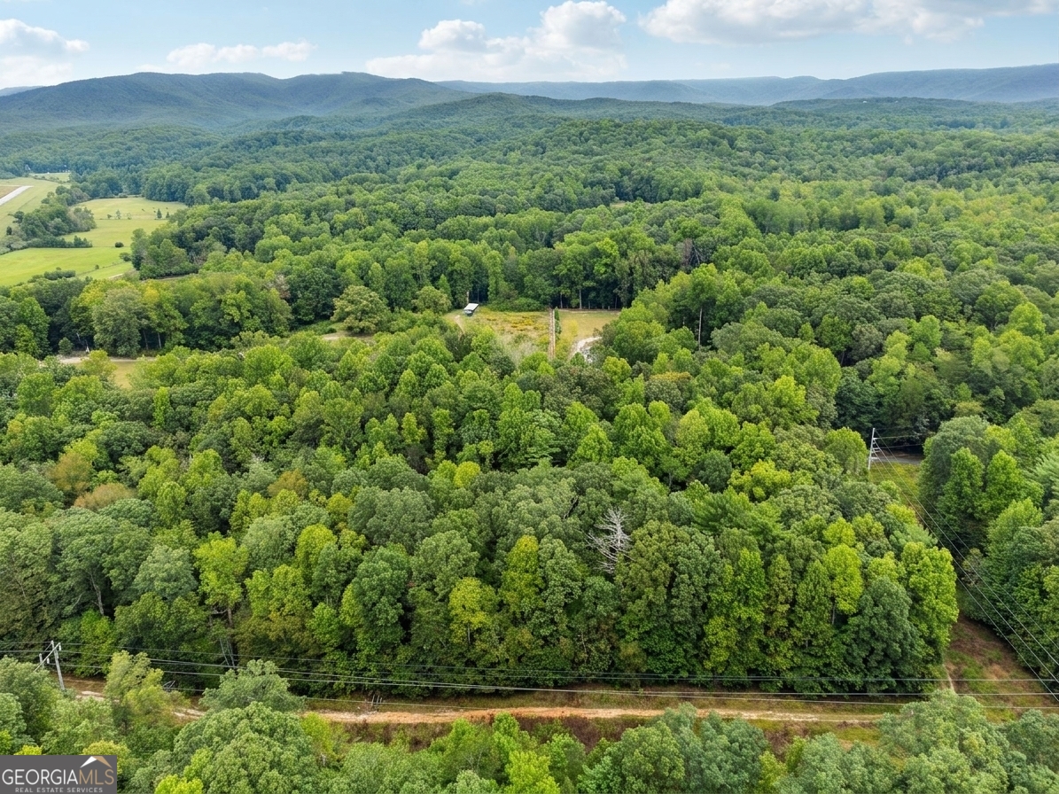 380 Guy Wimpy Road Lot 2 Property Photo 20