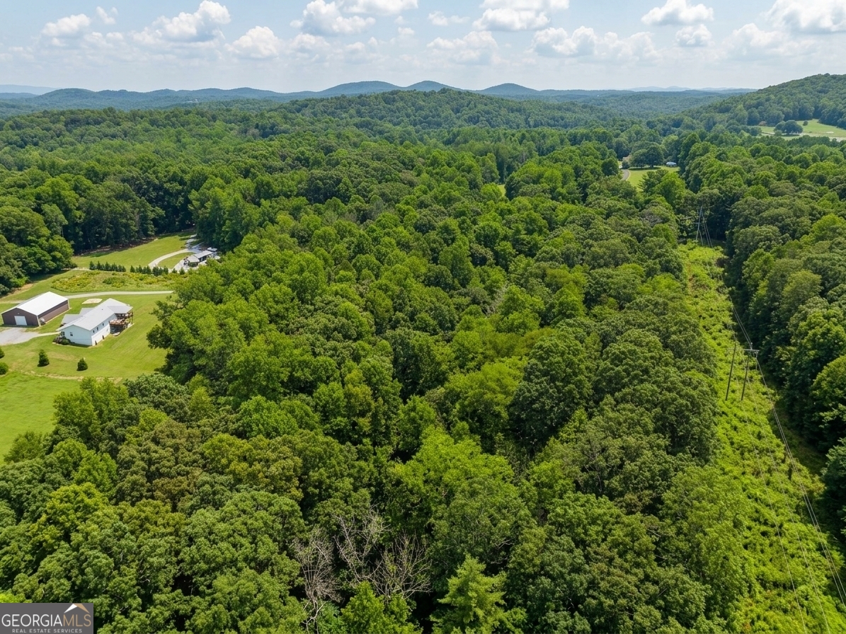 380 Guy Wimpy Road Lot 2 Property Photo 22