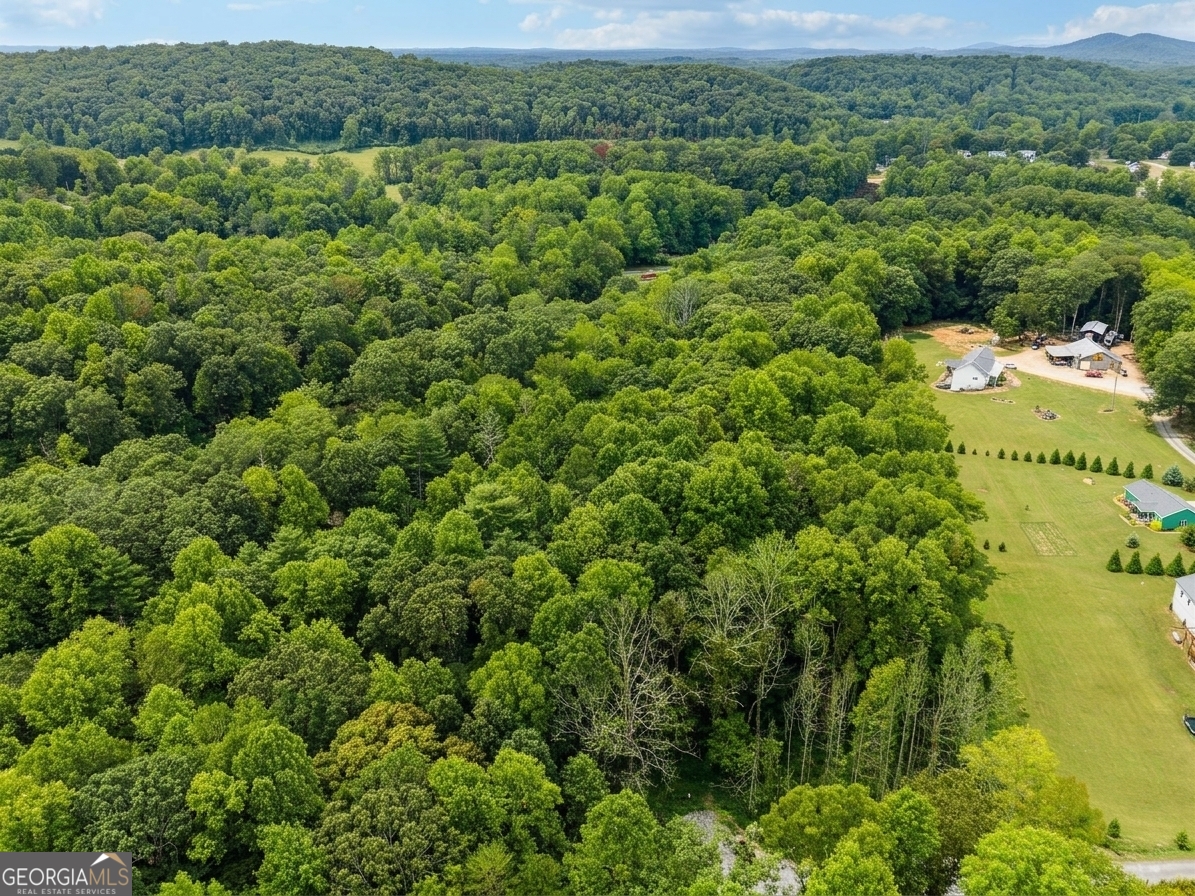 380 Guy Wimpy Road Lot 2 Property Photo 23