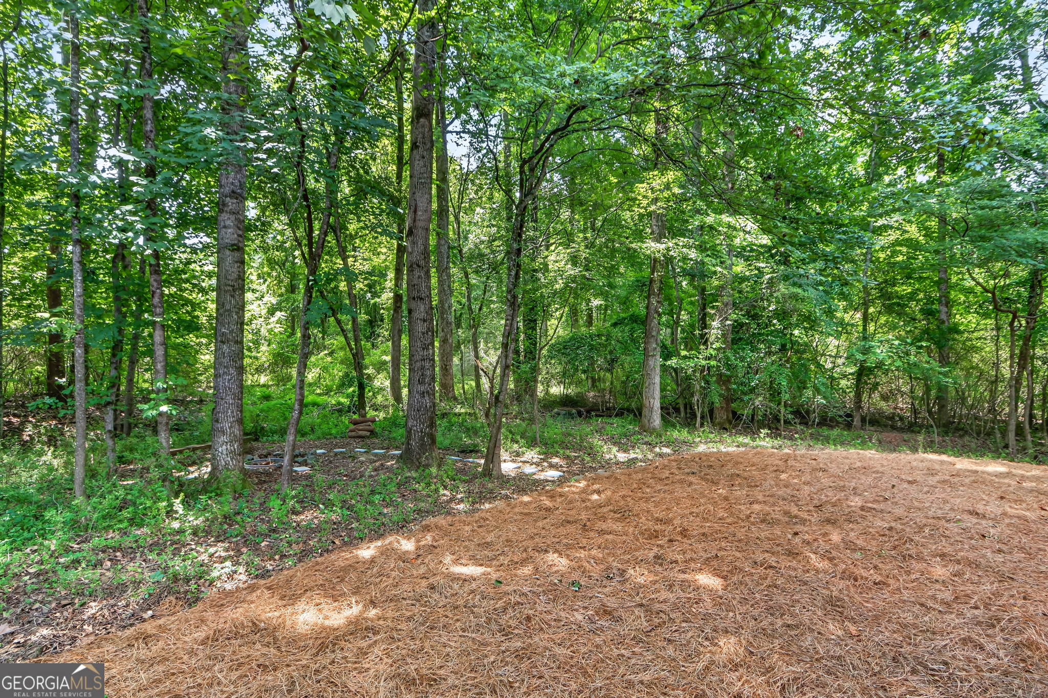 145 Welford Trace Property Photo 30