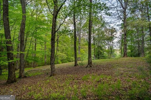 LOT 3-4 Scouts Overlook Lane