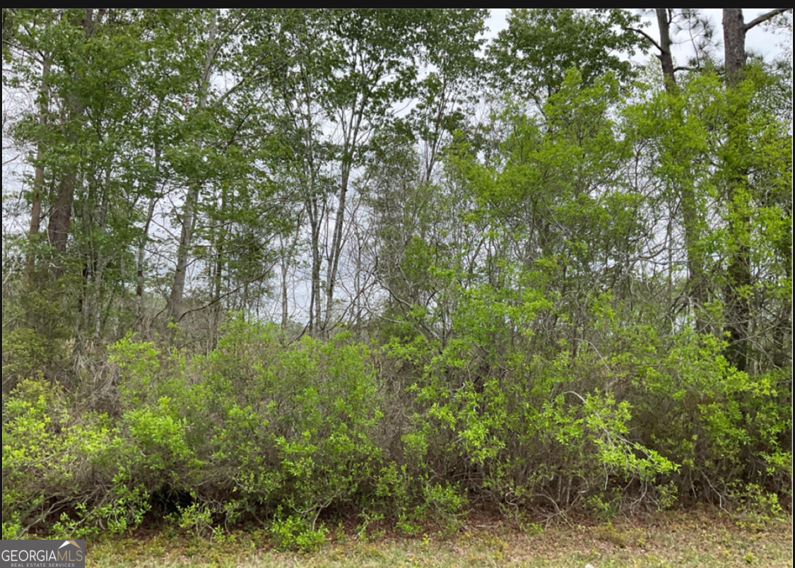 0 1601ac # 4 Property Photo 1