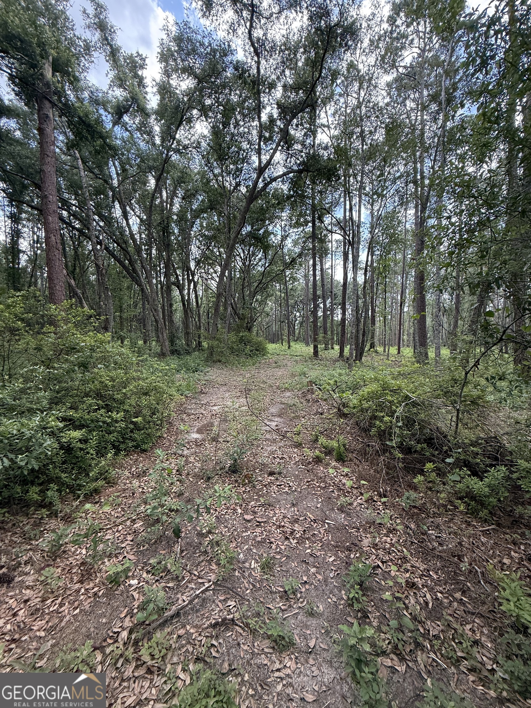 1144 Highway 80 Property Photo 6