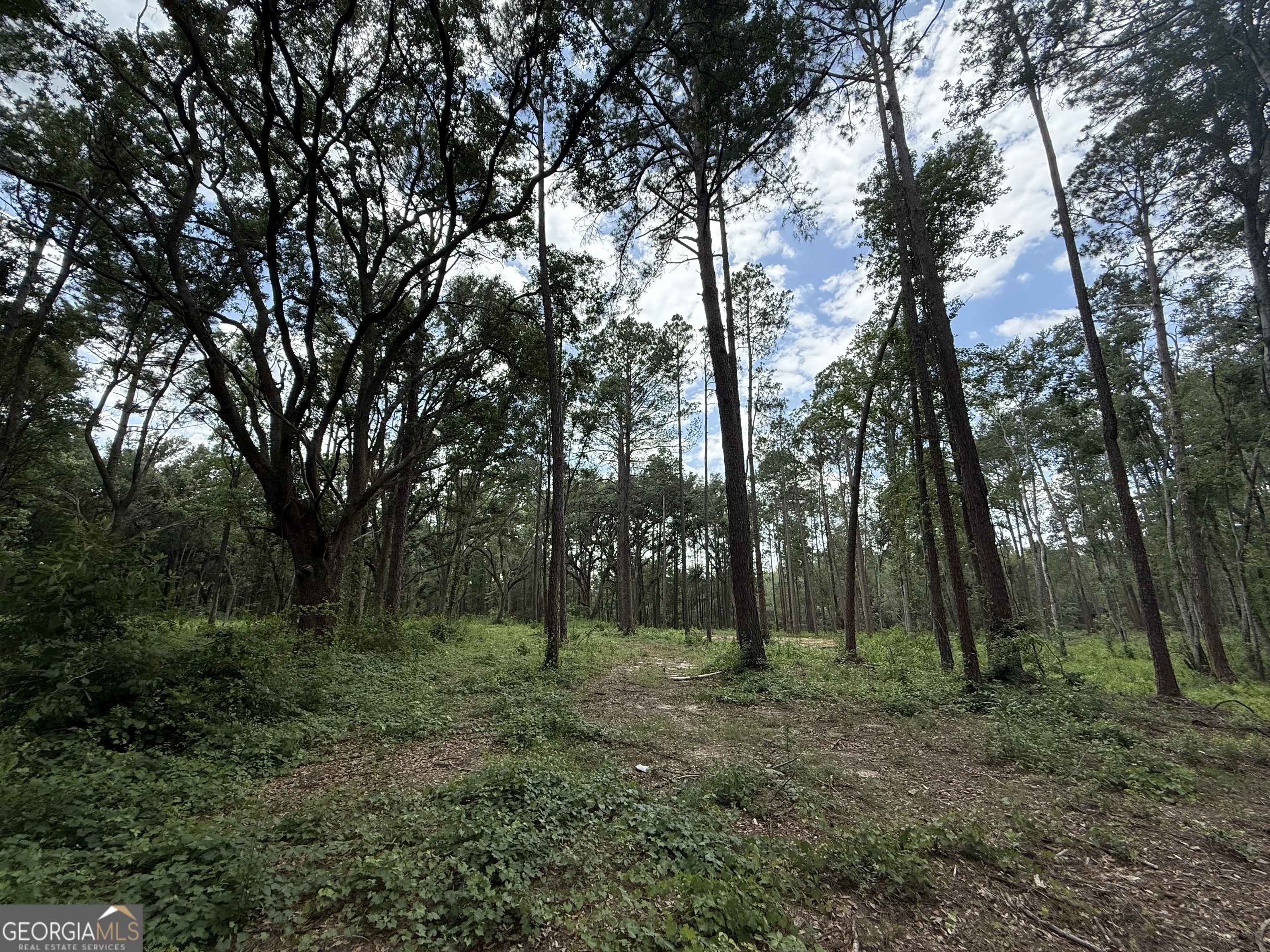 1144 Highway 80 Property Photo 10