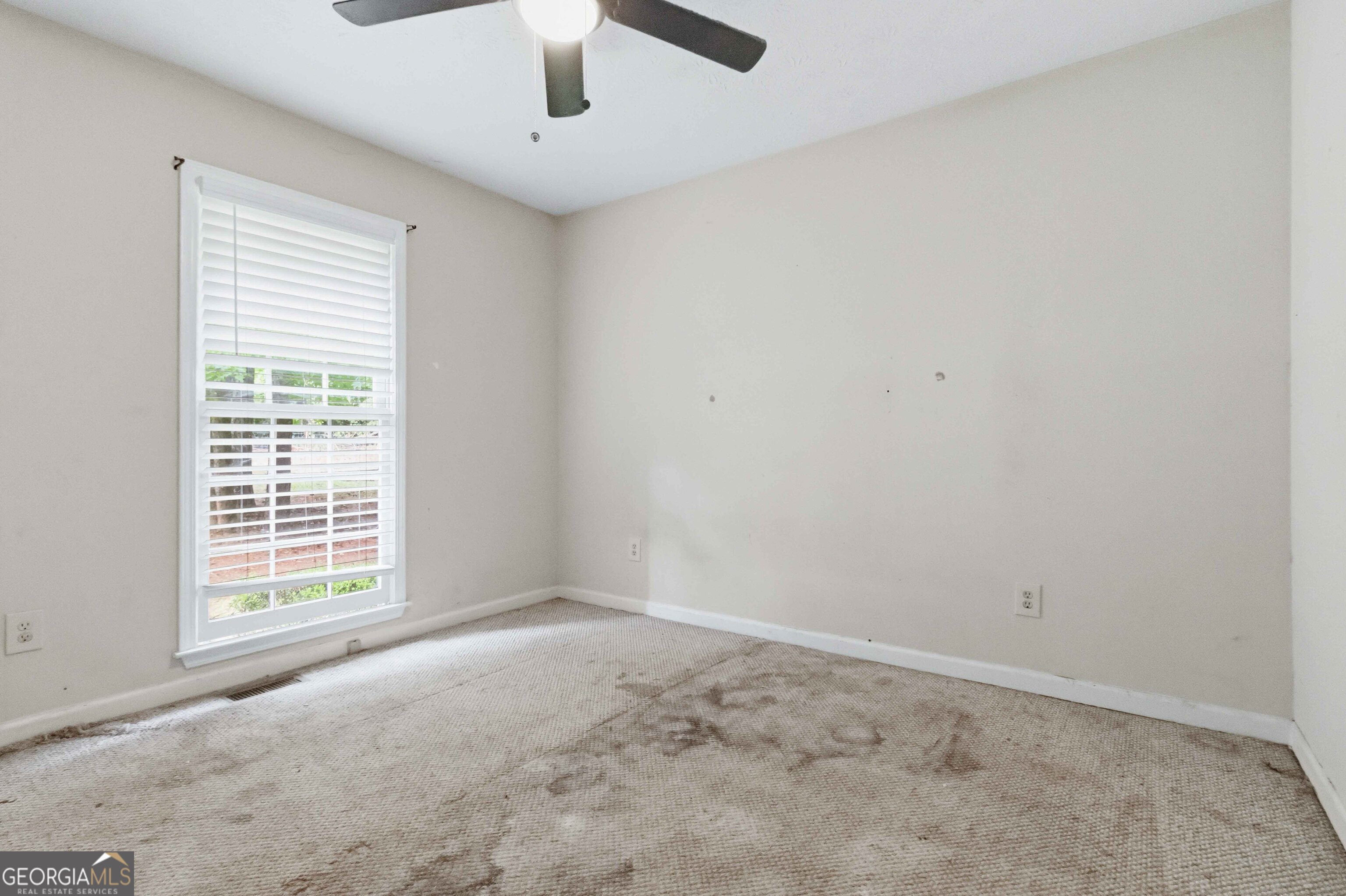 241 Rutledge Drive Property Photo 19