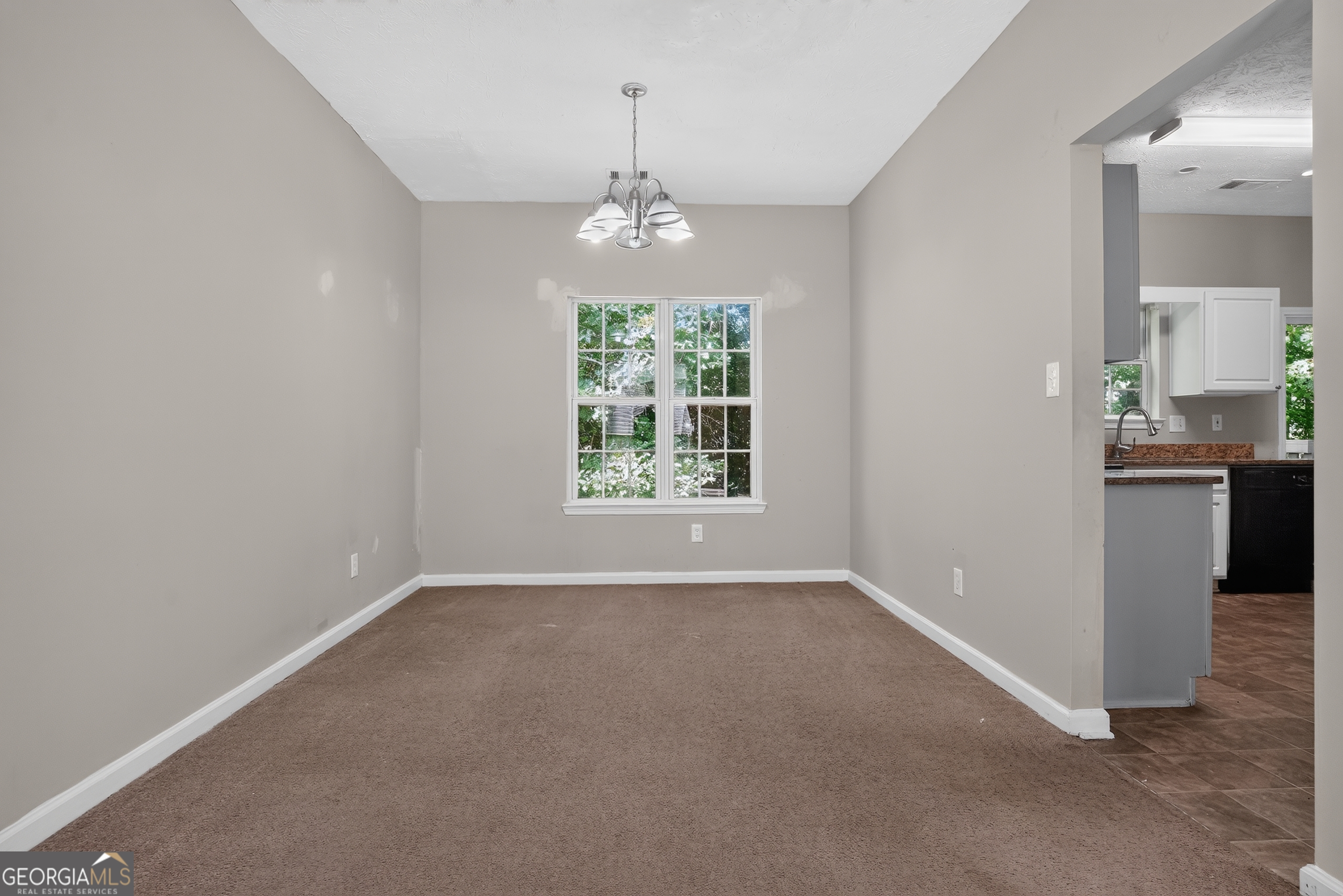 6065 Shadow Lake View Property Photo 13