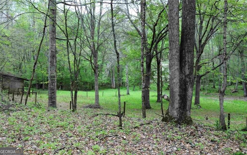 385 Vaughn Road Property Photo 55