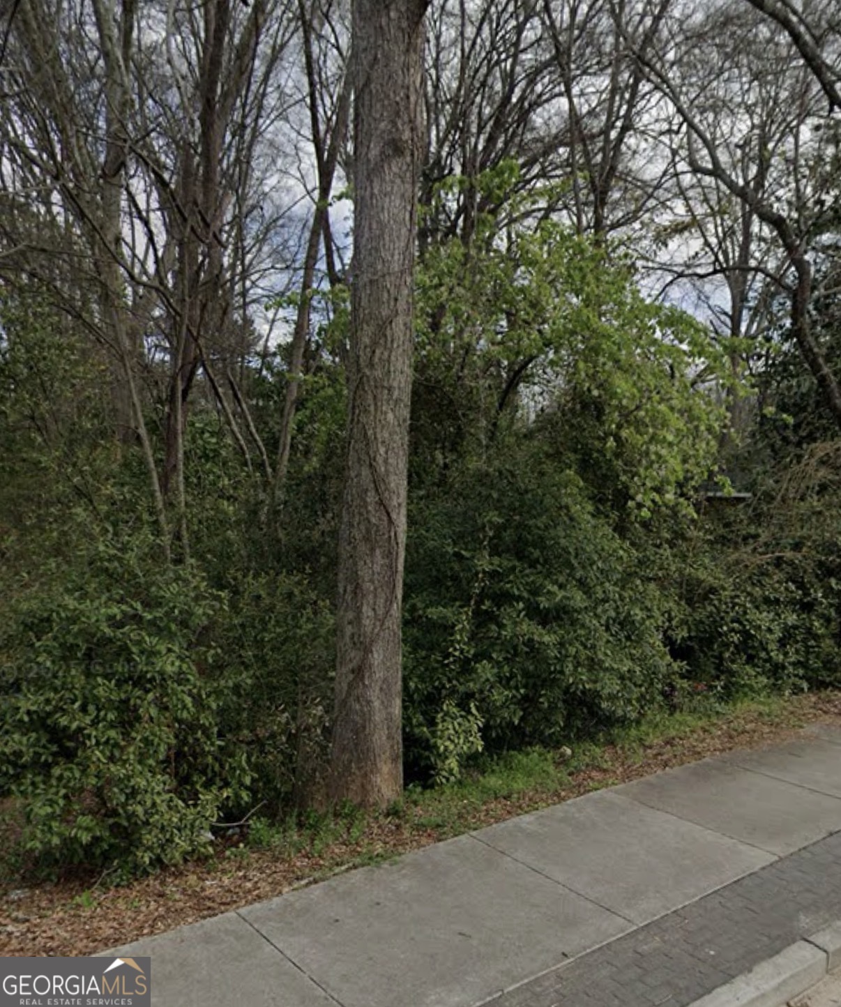 0 Phillips Drive Property Photo 2