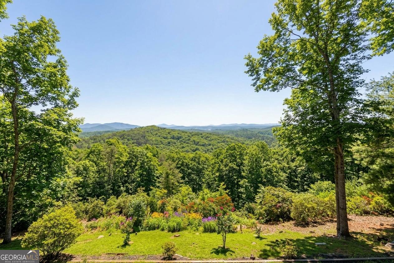 503 Ranch Mountain Drive Property Photo 17