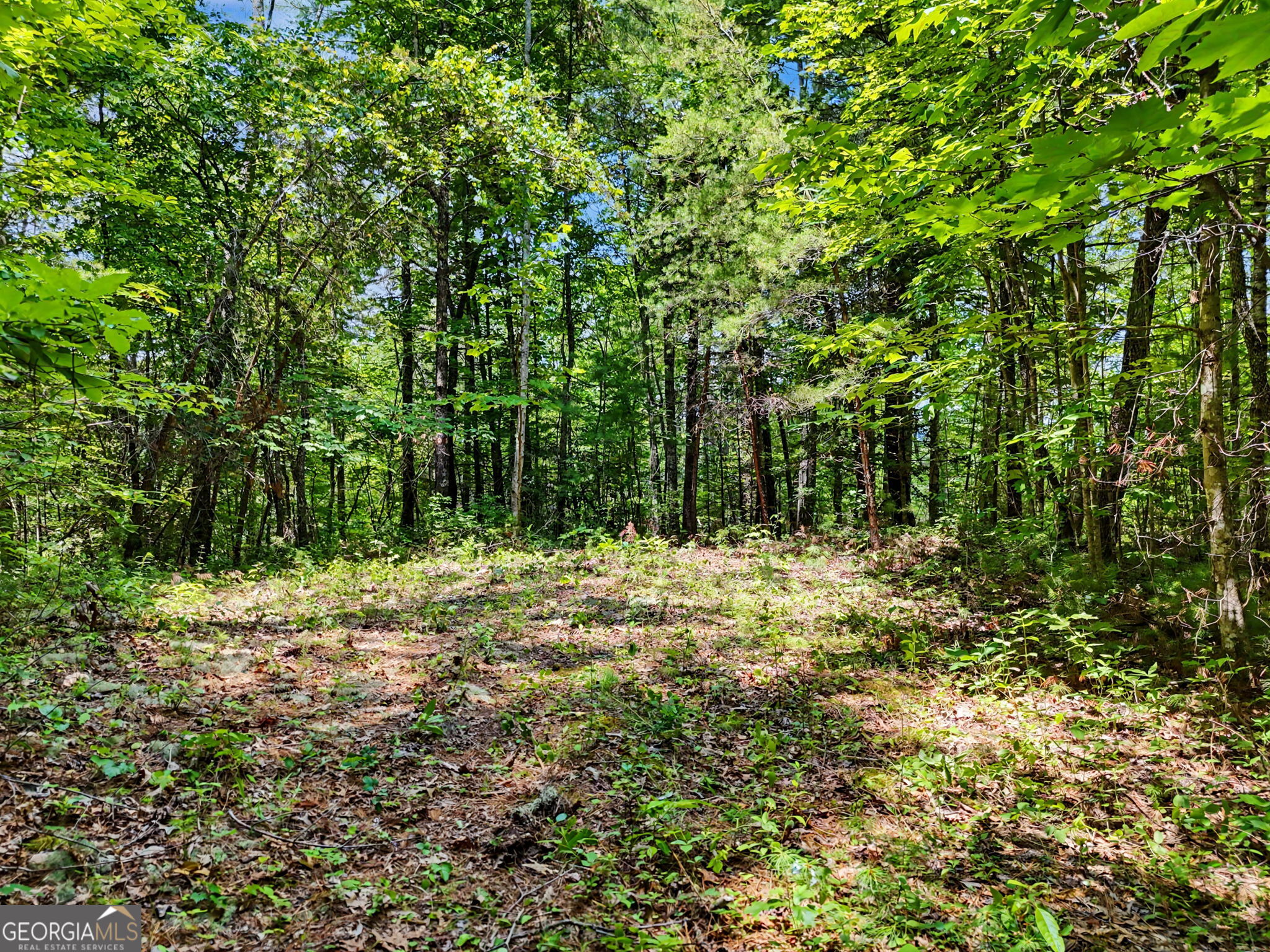 0 Hidden Falls Drive Lot 3 Property Photo 1