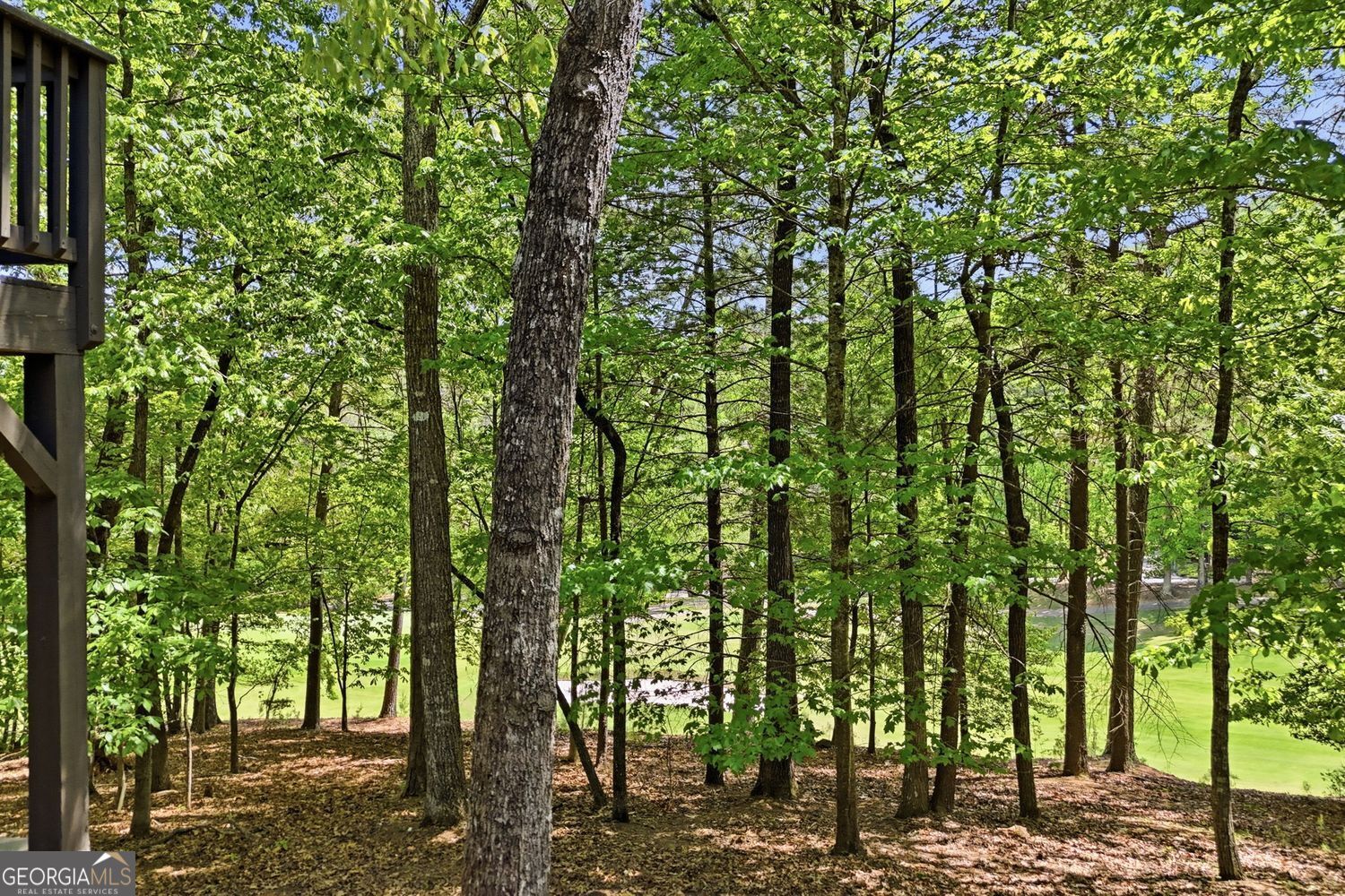 67 Chestnut Knoll Court Property Photo 65
