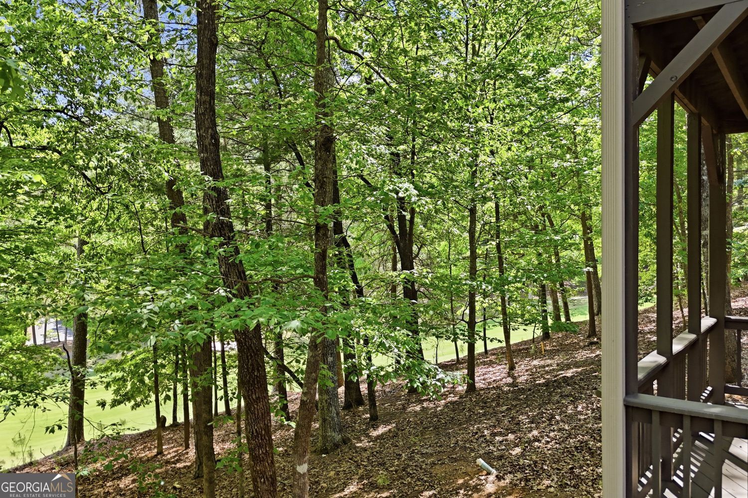 67 Chestnut Knoll Court Property Photo 66