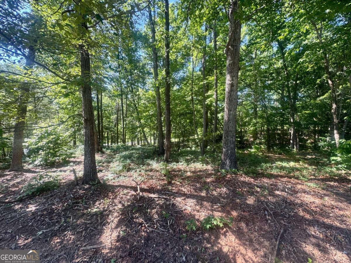 0 Teel Mountain Drive Property Photo 1