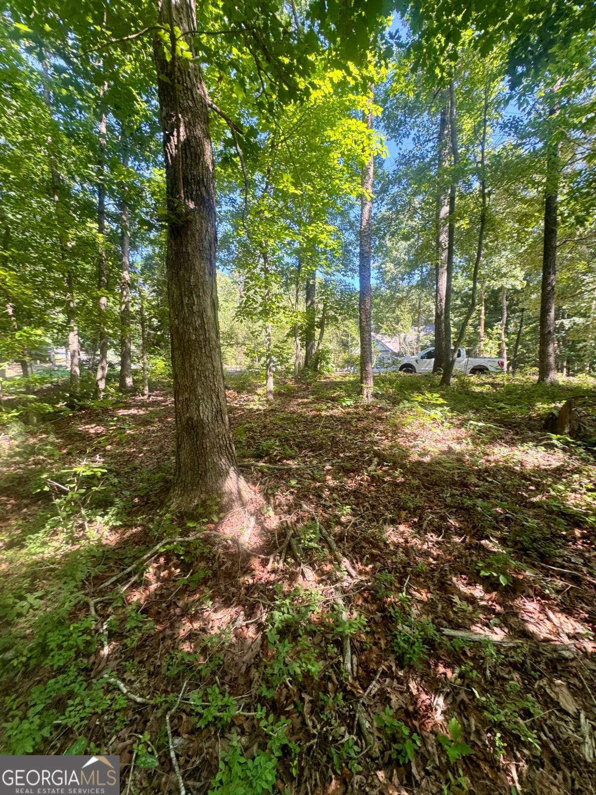 0 Teel Mountain Drive Property Photo 2