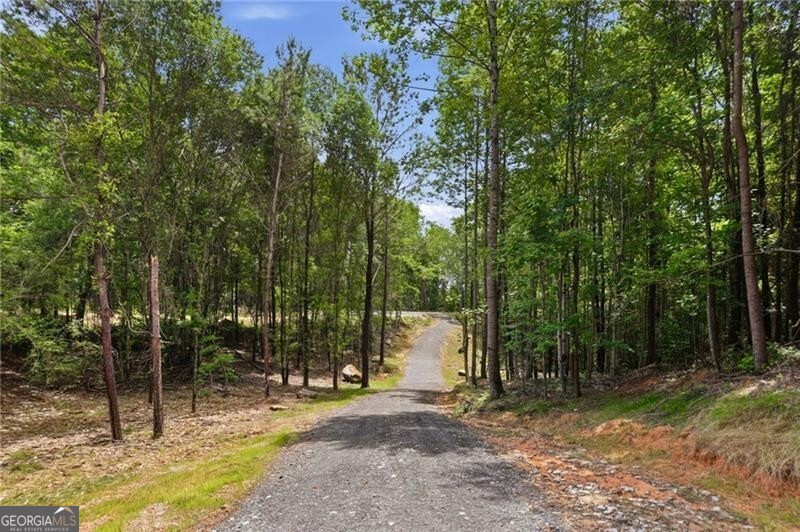 Lot 1 Pete Path Property Photo 2