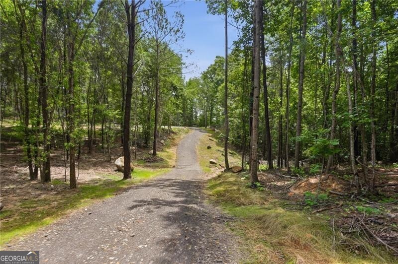 Lot 1 Pete Path Property Photo 3