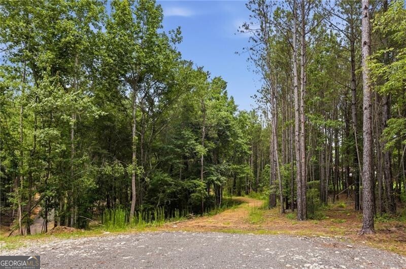 Lot 1 Pete Path Property Photo 5