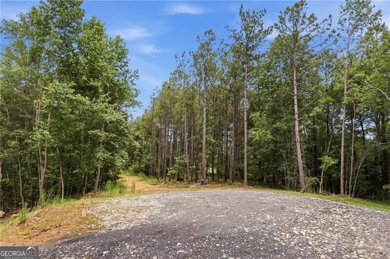 Lot 1 Pete Path Property Photo 6