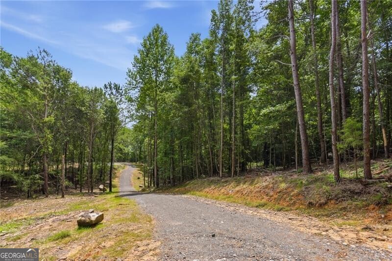 Lot 1 Pete Path Property Photo 10