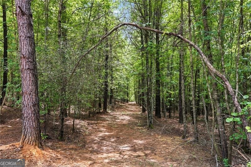Lot 1 Pete Path Property Photo 11