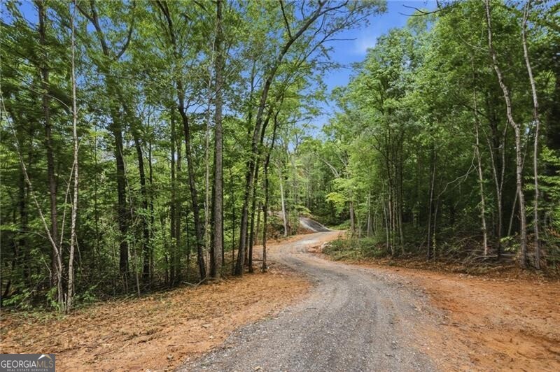Lot 1 Pete Path Property Photo 12