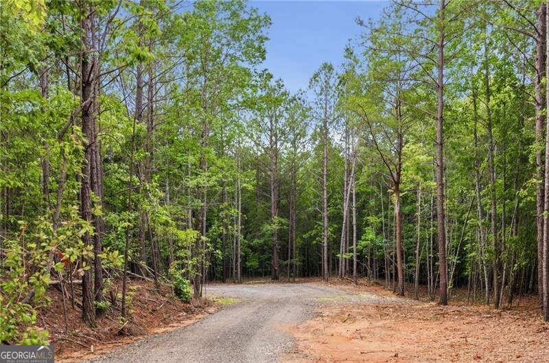 Lot 1 Pete Path Property Photo 13