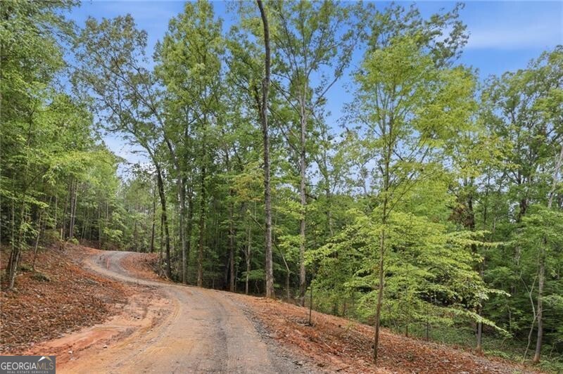 Lot 1 Pete Path Property Photo 14