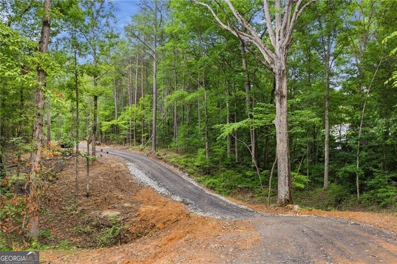 Lot 1 Pete Path Property Photo 15