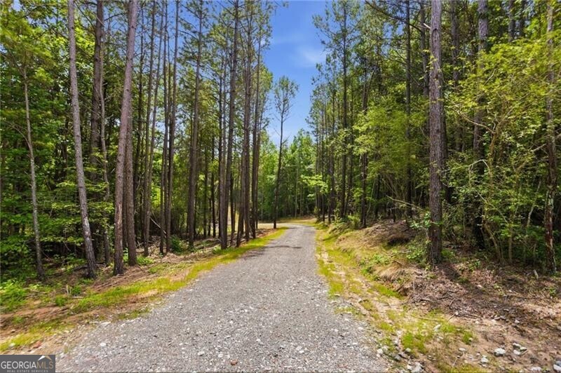 Lot 3 Pete Path Property Photo 1