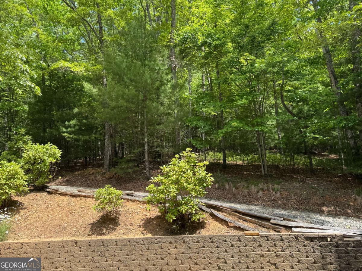 35 Big Buck Circle Property Photo 44