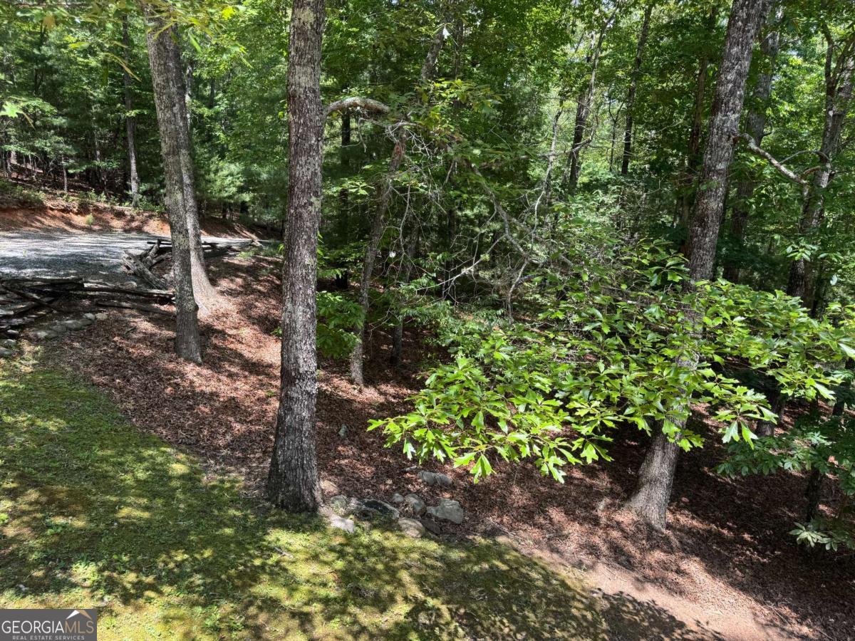 35 Big Buck Circle Property Photo 50