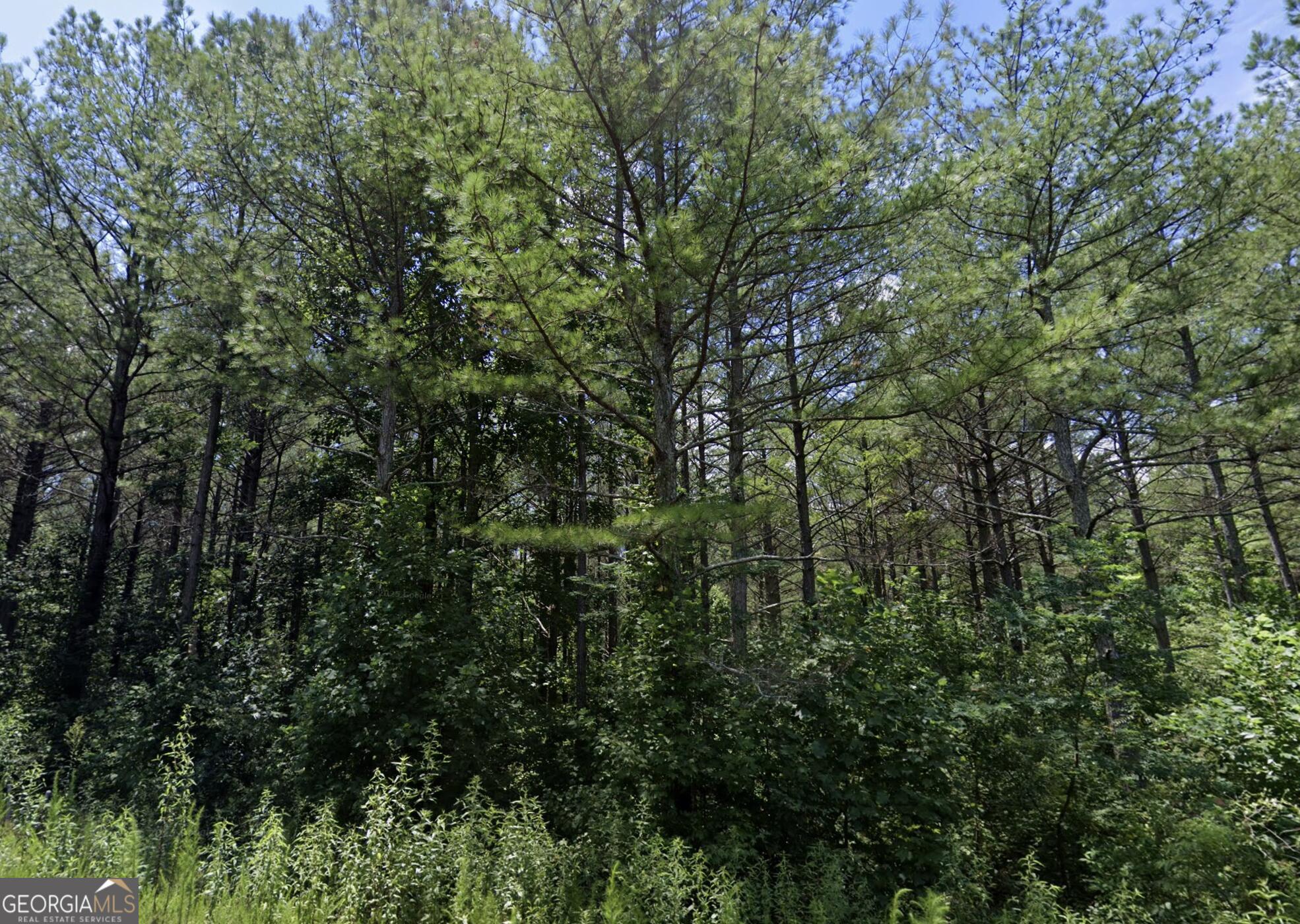 0 Eastside Drive Lot 14 Property Photo 2