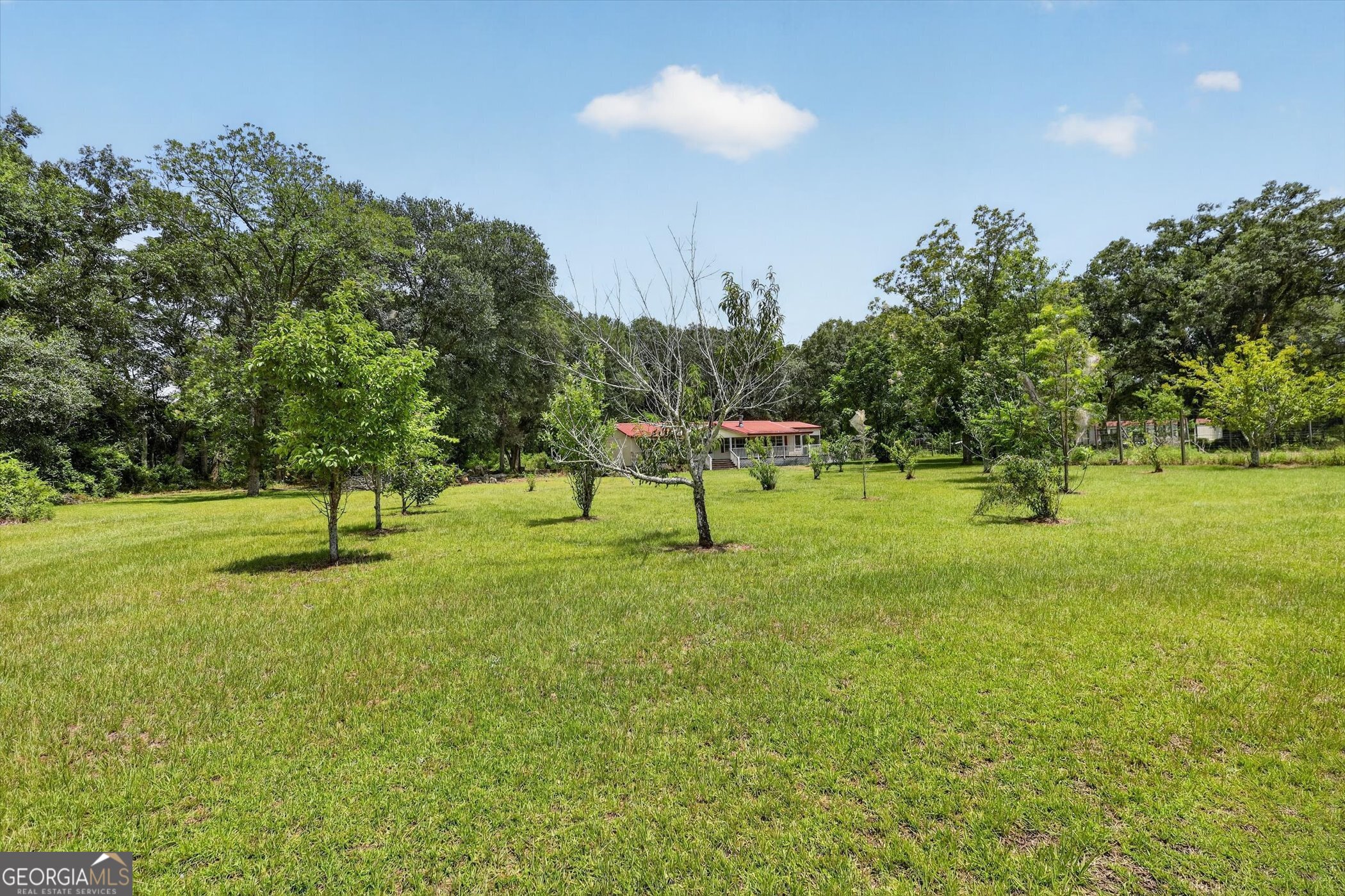 2224 Howard Alexander Road Property Photo 4