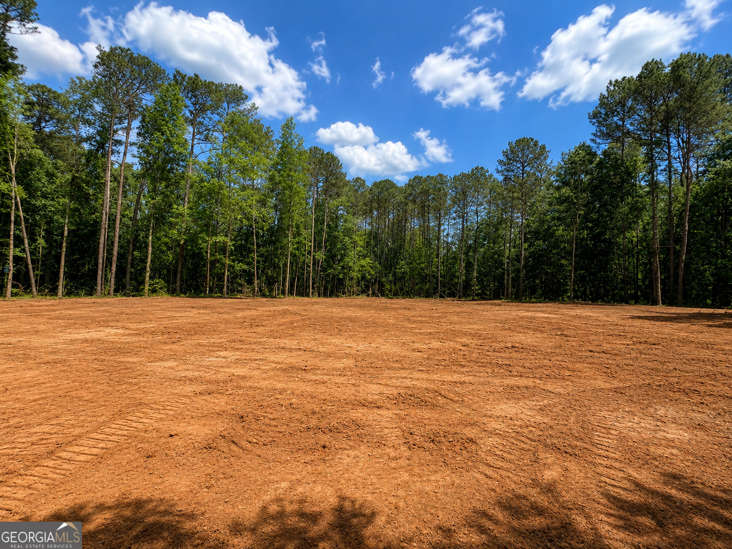 10020 Jefferson River Road Property Photo 3