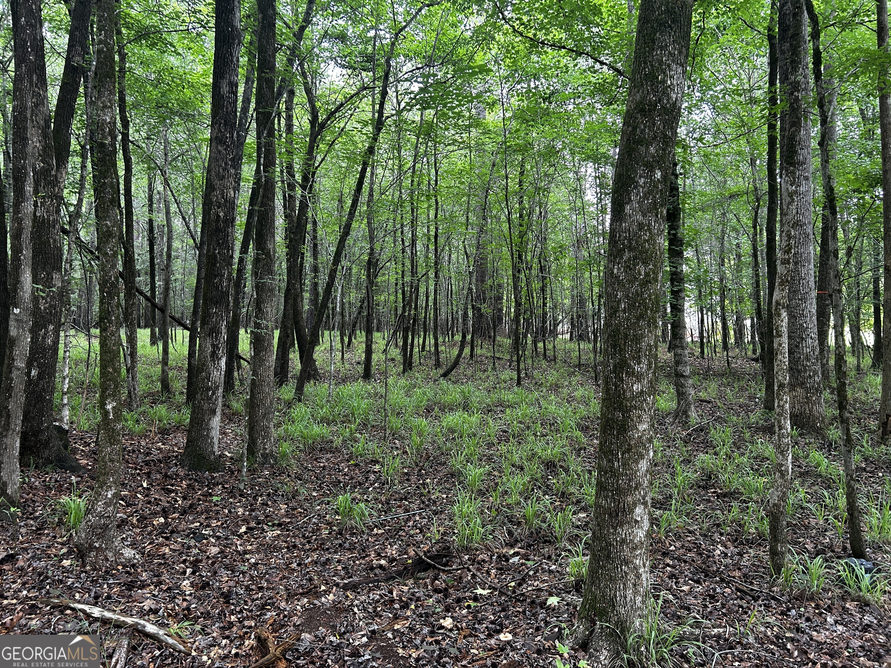 213 Winding River Road Property Photo 2