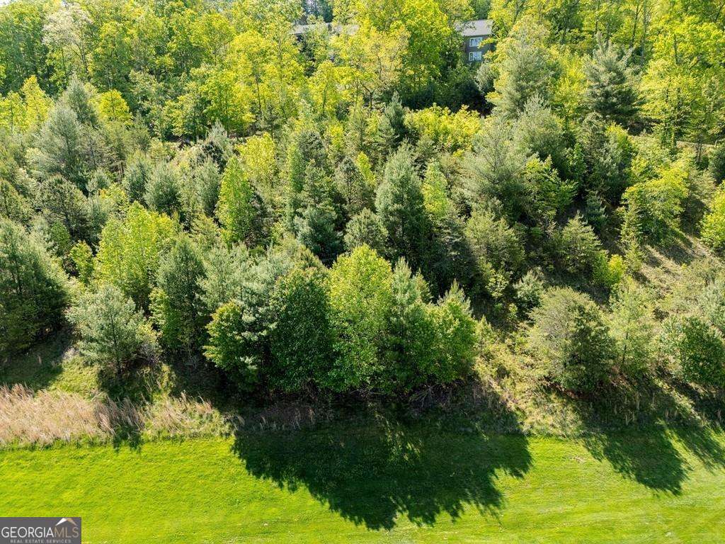 0 Bent Grass Way Property Photo 15
